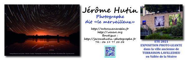 Jérôme Hutin - Arbor’Ethic