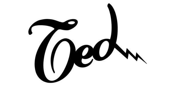 Ted Guitars